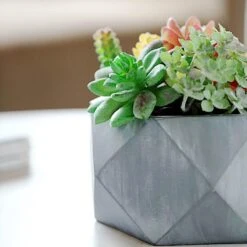 4" Tall Mini Concrete Flower Pot Geometric Planter - Gray 14 4" Tall Mini Concrete Flower Pot Geometric Planter - Gray -Optimal Home Decoration 4 tall mini concrete flower pot geometric planter gray plnt rsn 001 4 cem 28949912879167