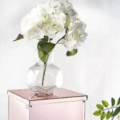 5 Acrylic Display Boxes Centerpieces Pedestal Riser Columns 38 5 Acrylic Display Boxes Centerpieces Pedestal Riser Columns -Optimal Home Decoration 5 acrylic display boxes centerpieces pedestal riser columns 28992093290559