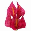 5 Burlap Large Calla Lilies Bushes -Optimal Home Decoration 5 burlap large calla lilies bushes arti 6744 fush 28957225877567