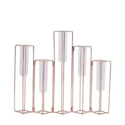5 Jointed Geometric Flower Vase Holders With Glass Test Tubes 39 5 Jointed Geometric Flower Vase Holders With Glass Test Tubes -Optimal Home Decoration 5 jointed geometric flower vase holders with glass test tubes iron vase 011 15 054 28939941150783