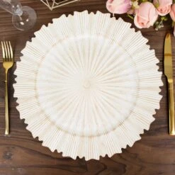 6 Plastic 13" Sunray Round Charger Plates With Scalloped Rim 24 6 Plastic 13" Sunray Round Charger Plates With Scalloped Rim -Optimal Home Decoration 6 metallic 13 sunray acrylic plastic charger plates with scalloped edges 30856803942463