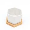 6 Mini 3" Tall Ceramic Flower Pots Hexagon Geometric Planters - White And Natural -Optimal Home Decoration 6 mini 3 tall ceramic flower pots hexagon geometric planters white and natural plnt cerm 004 s wht 29682528616511