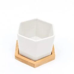 6 Mini 3" Tall Ceramic Flower Pots Hexagon Geometric Planters - White And Natural