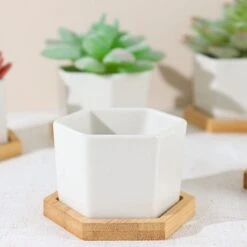 6 Mini 3" Tall Ceramic Flower Pots Hexagon Geometric Planters - White And Natural -Optimal Home Decoration 6 mini 3 tall ceramic flower pots hexagon geometric planters white and natural plnt cerm 004 s wht 29682528714815