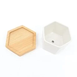 6 Mini 3" Tall Ceramic Flower Pots Hexagon Geometric Planters - White And Natural -Optimal Home Decoration 6 mini 3 tall ceramic flower pots hexagon geometric planters white and natural plnt cerm 004 s wht 29682528845887