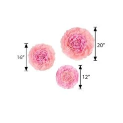 6 Pcs 12" 16" 20" Wide Large Carnations Tissue Paper Flowers 31 6 Pcs 12" 16" 20" Wide Large Carnations Tissue Paper Flowers -Optimal Home Decoration 6 pcs 12 16 20 wide large carnations tissue paper flowers 28992043941951