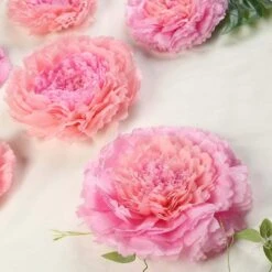 6 Pcs 12" 16" 20" Wide Large Carnations Tissue Paper Flowers 33 6 Pcs 12" 16" 20" Wide Large Carnations Tissue Paper Flowers -Optimal Home Decoration 6 pcs 12 16 20 wide large carnations tissue paper flowers 28992044007487