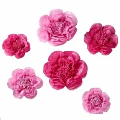 6 Pcs 12" 16" 20" Wide Peonies Tissue Paper Flowers 26 6 Pcs 12" 16" 20" Wide Peonies Tissue Paper Flowers -Optimal Home Decoration 6 pcs 12 16 20 wide peonies tissue paper flowers pom flo03 1220 pink 28992052035647