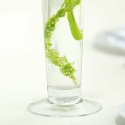 6 Pcs 24" Tall Trumpet Glass Wedding Vases - Clear 14 6 Pcs 24" Tall Trumpet Glass Wedding Vases - Clear -Optimal Home Decoration 6 pcs 24 tall trumpet glass wedding vases clear vase a8 24 28578945663039