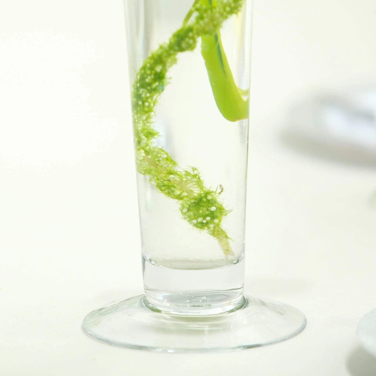 6 Pcs 24" Tall Trumpet Glass Wedding Vases - Clear 6 6 Pcs 24" Tall Trumpet Glass Wedding Vases - Clear - Image 4