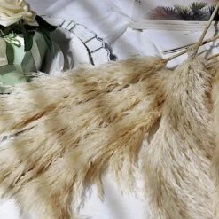 6 Pcs 32" Natural Pampas Grass Sprays Dried Plant Stems -Optimal Home Decoration 6 pcs 32 natural pampas grass sprays dried plant stems 28974430257215