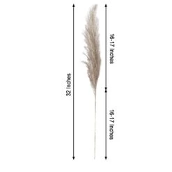 6 Pcs 32" Natural Pampas Grass Sprays Dried Plant Stems -Optimal Home Decoration 6 pcs 32 natural pampas grass sprays dried plant stems 28976452304959