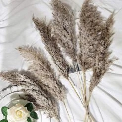 6 Pcs 32" Natural Pampas Grass Sprays Dried Plant Stems -Optimal Home Decoration 6 pcs 32 natural pampas grass sprays dried plant stems 28976452534335