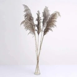 6 Pcs 32" Natural Pampas Grass Sprays Dried Plant Stems -Optimal Home Decoration 6 pcs 32 natural pampas grass sprays dried plant stems arti pamp 001 s nat 28976452632639