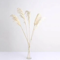 6 Pcs 32" Natural Pampas Grass Sprays Dried Plant Stems -Optimal Home Decoration 6 pcs 32 natural pampas grass sprays dried plant stems arti pamp 001 s wht 28976459186239
