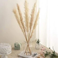 6 Pcs 49" Natural Pampas Grass Sprays Dried Plant Stems -Optimal Home Decoration 6 pcs 49 natural pampas grass sprays dried plant stems 28971163877439