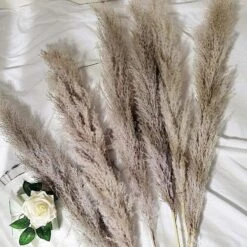 6 Pcs 49" Natural Pampas Grass Sprays Dried Plant Stems -Optimal Home Decoration 6 pcs 49 natural pampas grass sprays dried plant stems 28971171020863