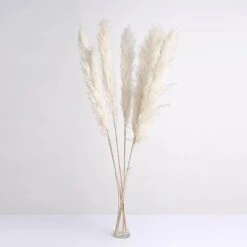 6 Pcs 49" Natural Pampas Grass Sprays Dried Plant Stems -Optimal Home Decoration 6 pcs 49 natural pampas grass sprays dried plant stems 28971171086399