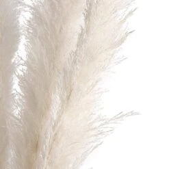 6 Pcs 49" Natural Pampas Grass Sprays Dried Plant Stems -Optimal Home Decoration 6 pcs 49 natural pampas grass sprays dried plant stems 28971171184703