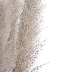 6 Pcs 49" Natural Pampas Grass Sprays Dried Plant Stems -Optimal Home Decoration 6 pcs 49 natural pampas grass sprays dried plant stems 28971171250239