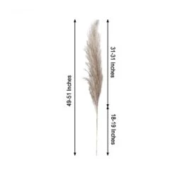 6 Pcs 49" Natural Pampas Grass Sprays Dried Plant Stems -Optimal Home Decoration 6 pcs 49 natural pampas grass sprays dried plant stems 28971174297663