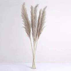6 Pcs 49" Natural Pampas Grass Sprays Dried Plant Stems -Optimal Home Decoration 6 pcs 49 natural pampas grass sprays dried plant stems arti pamp 001 l nat 28971171151935
