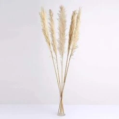 6 Pcs 49" Natural Pampas Grass Sprays Dried Plant Stems