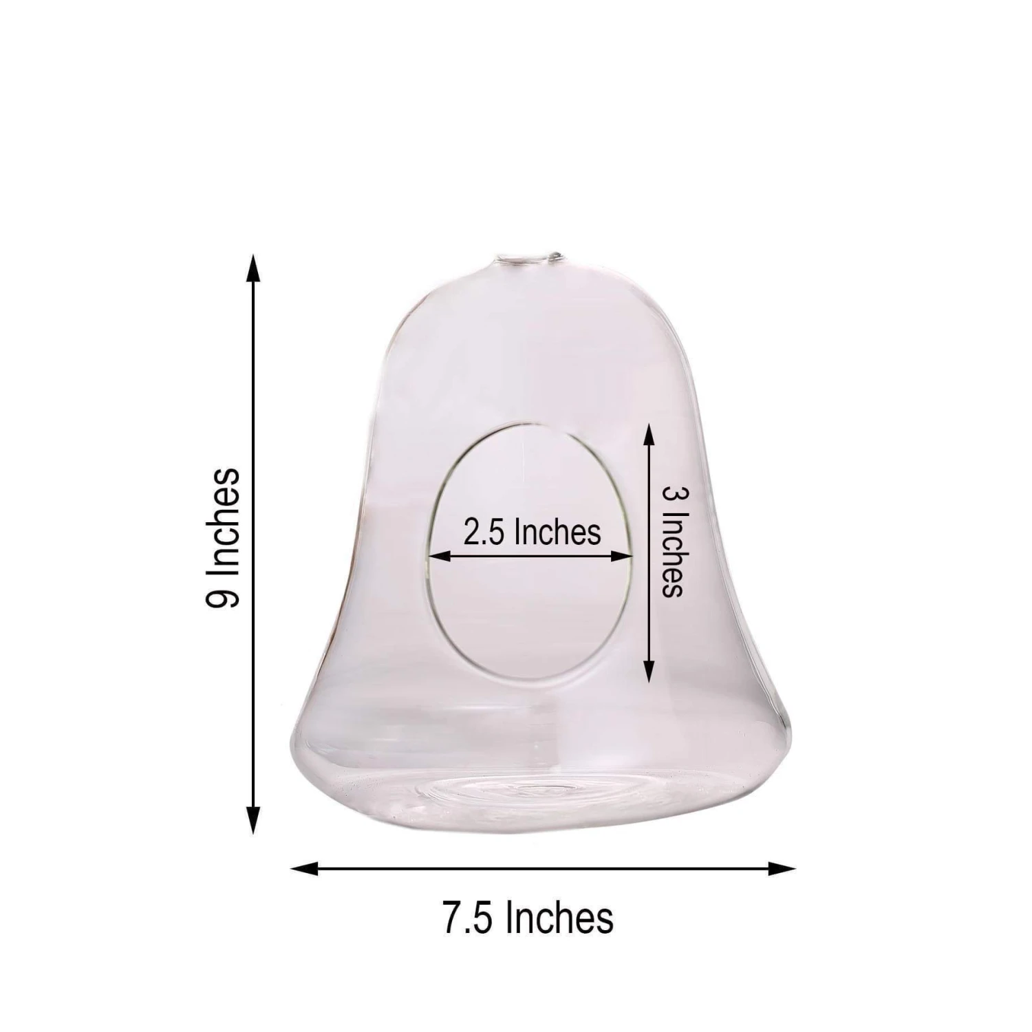 9" Tall Glass Bell Floating Terrarium - Clear 4 9" Tall Glass Bell Floating Terrarium - Clear - Image 2