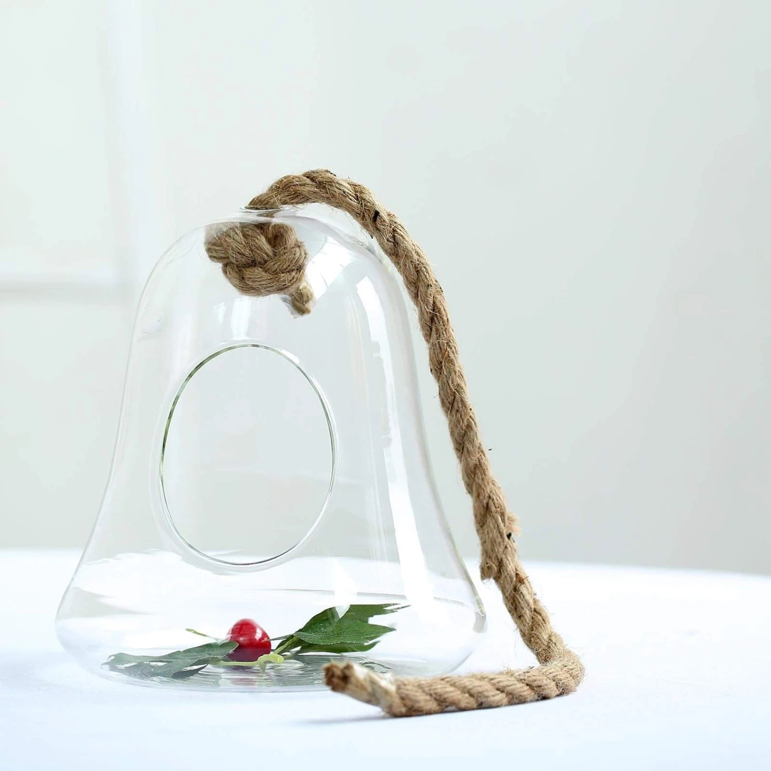 9" Tall Glass Bell Floating Terrarium - Clear 7 9" Tall Glass Bell Floating Terrarium - Clear - Image 5