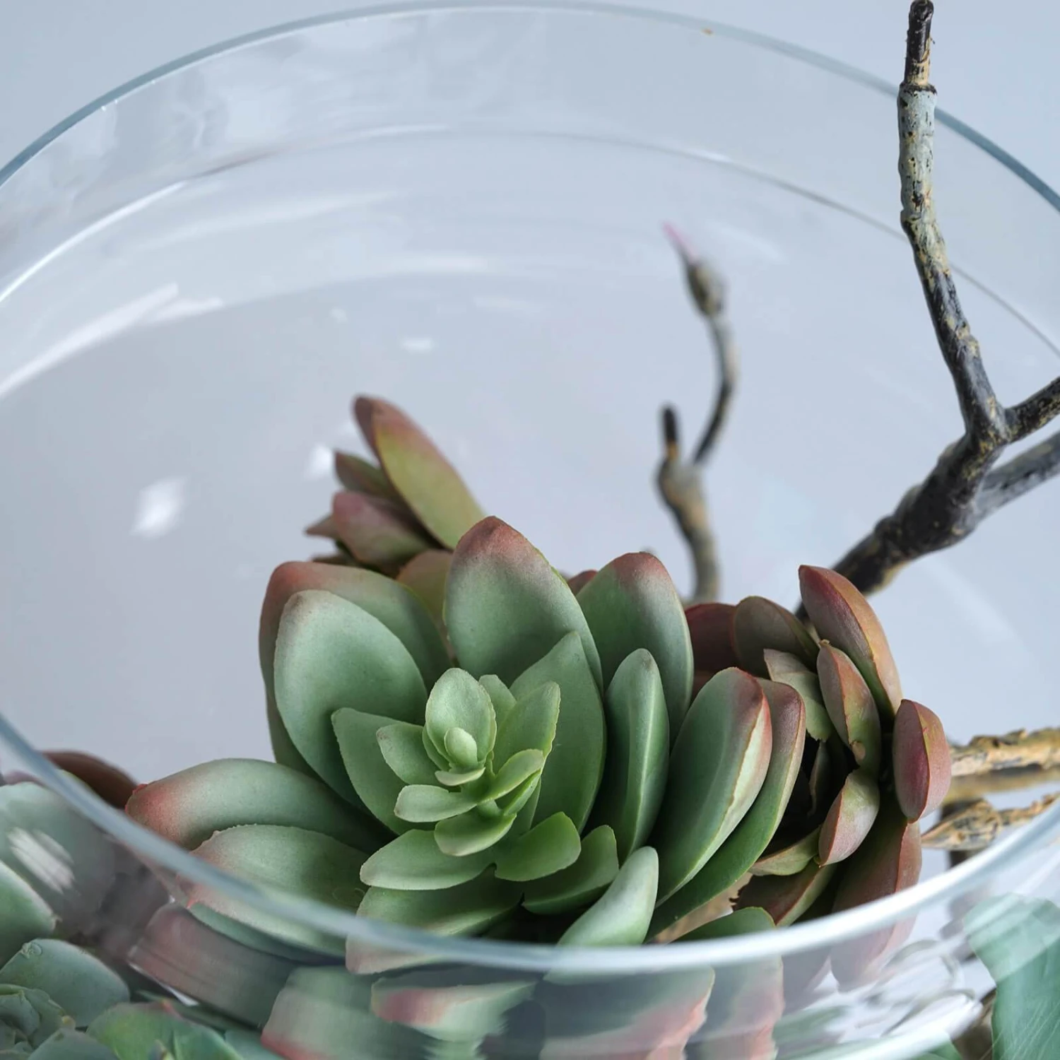 Set Of 3 10" 12" 14" Tall Glass Apothecary Jars Containers With Lids - Clear 5 Set Of 3 10" 12" 14" Tall Glass Apothecary Jars Containers With Lids - Clear - Image 3