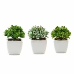 Set Of 3 4" Tall Faux Crassula Succulent Plants With Off White Ceramic Pots - Green