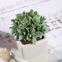 Set Of 3 4" Tall Faux Crassula Succulent Plants With Off White Ceramic Pots - Green 12 Set Of 3 4" Tall Faux Crassula Succulent Plants With Off White Ceramic Pots - Green -Optimal Home Decoration set of 3 4 tall faux crassula succulent plants with off white ceramic pots green arti suc pt013 asst 4763774353471