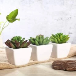 Set Of 3 4" Tall Faux Cute Crassula Succulent Plants With Off White Ceramic Pots - Assorted Colors 13 Set Of 3 4" Tall Faux Cute Crassula Succulent Plants With Off White Ceramic Pots - Assorted Colors -Optimal Home Decoration set of 3 4 tall faux cute crassula succulent plants with off white ceramic pots assorted colors arti suc pt010 asst 28518787285055