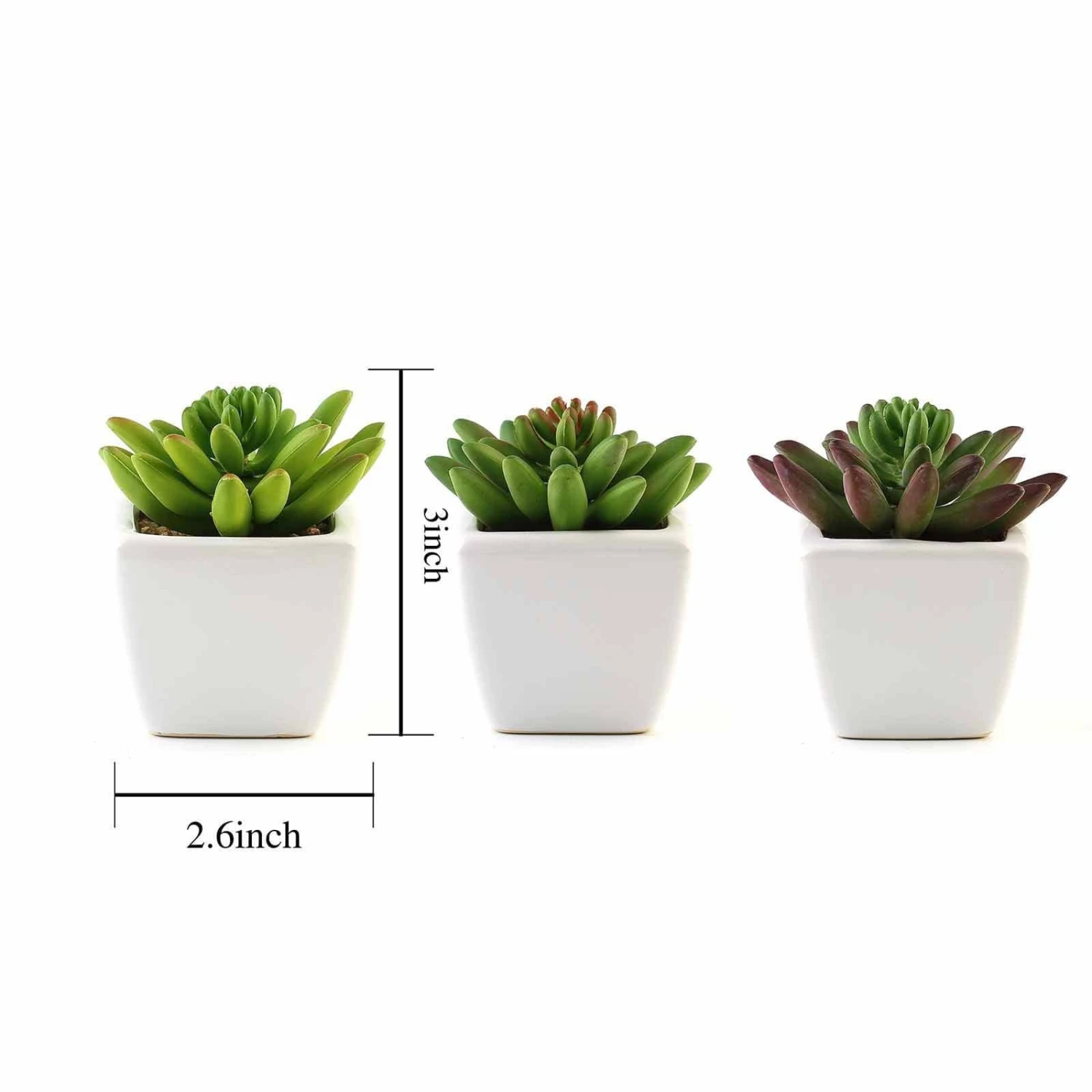 Set Of 3 4" Tall Faux Cute Crassula Succulent Plants With Off White Ceramic Pots - Assorted Colors 4 Set Of 3 4" Tall Faux Cute Crassula Succulent Plants With Off White Ceramic Pots - Assorted Colors - Image 2