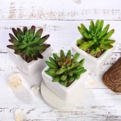Set Of 3 4" Tall Faux Cute Crassula Succulent Plants With Off White Ceramic Pots - Assorted Colors 10 Set Of 3 4" Tall Faux Cute Crassula Succulent Plants With Off White Ceramic Pots - Assorted Colors -Optimal Home Decoration set of 3 4 tall faux cute crassula succulent plants with off white ceramic pots assorted colors arti suc pt010 asst 28518827065407