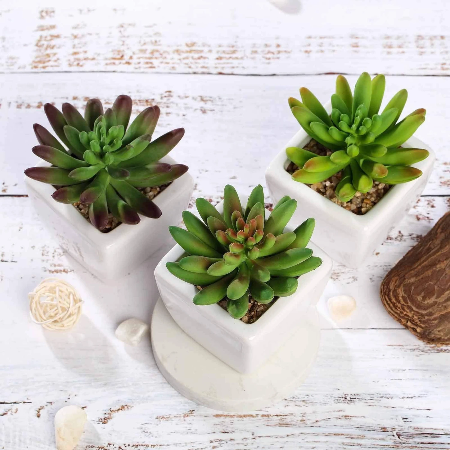 Set Of 3 4" Tall Faux Cute Crassula Succulent Plants With Off White Ceramic Pots - Assorted Colors 5 Set Of 3 4" Tall Faux Cute Crassula Succulent Plants With Off White Ceramic Pots - Assorted Colors - Image 3