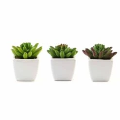Set Of 3 4" Tall Faux Cute Crassula Succulent Plants With Off White Ceramic Pots - Assorted Colors