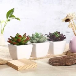 Set Of 3 4" Tall Faux Echeveria Succulent Plants With Off White Ceramic Pots - Assorted Colors -Optimal Home Decoration set of 3 4 tall faux echeveria succulent plants with off white ceramic pots assorted colors arti suc pt009 asst 28500989313087