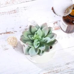 Set Of 3 4" Tall Faux Echeveria Succulent Plants With Off White Ceramic Pots - Assorted Colors -Optimal Home Decoration set of 3 4 tall faux echeveria succulent plants with off white ceramic pots assorted colors arti suc pt009 asst 28501004025919
