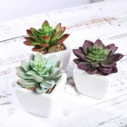 Set Of 3 4" Tall Faux Echeveria Succulent Plants With Off White Ceramic Pots - Assorted Colors -Optimal Home Decoration set of 3 4 tall faux echeveria succulent plants with off white ceramic pots assorted colors arti suc pt009 asst 4763793522751