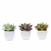 Set Of 3 4" Tall Faux Echeveria Succulent Plants With Off White Ceramic Pots - Assorted Colors 2 Set Of 3 4" Tall Faux Echeveria Succulent Plants With Off White Ceramic Pots - Assorted Colors -Optimal Home Decoration set of 3 4 tall faux echeveria succulent plants with off white ceramic pots assorted colors arti suc pt009 asst 4764461203519