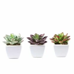 Set Of 3 4" Tall Faux Echeveria Succulent Plants With Off White Ceramic Pots - Assorted Colors