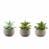 Set Of 3 5" Tall Faux Aloe Succulent Plants With Round Pots - Assorted Colors 1 Set Of 3 5" Tall Faux Aloe Succulent Plants With Round Pots - Assorted Colors -Optimal Home Decoration set of 3 5 tall faux aloe succulent plants with round pots assorted colors arti suc pt004 asst 4763796078655