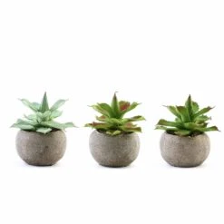 Set Of 3 5" Tall Faux Aloe Succulent Plants With Round Pots - Assorted Colors