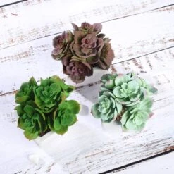 Set Of 3 5" Tall Faux Cute Echeveria Succulent Plants With Off White Ceramic Pots - Assorted Colors -Optimal Home Decoration set of 3 5 tall faux cute echeveria succulent plants with off white ceramic pots assorted colors arti suc pt014 asst 28500977319999