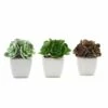 Set Of 3 5" Tall Faux Cute Echeveria Succulent Plants With Off White Ceramic Pots - Assorted Colors -Optimal Home Decoration set of 3 5 tall faux cute echeveria succulent plants with off white ceramic pots assorted colors arti suc pt014 asst 4763816951871