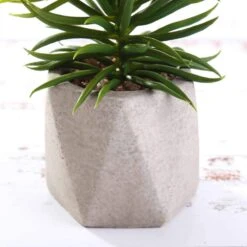 Set Of 3 8" Tall Faux Crassula Succulent Plants With Ceramic Pots - Assorted Colors 12 Set Of 3 8" Tall Faux Crassula Succulent Plants With Ceramic Pots - Assorted Colors -Optimal Home Decoration set of 3 8 tall faux crassula succulent plants with ceramic pots assorted colors arti suc pt002 asst 28501021917247