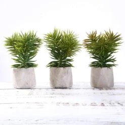 Set Of 3 8" Tall Faux Crassula Succulent Plants With Ceramic Pots - Assorted Colors