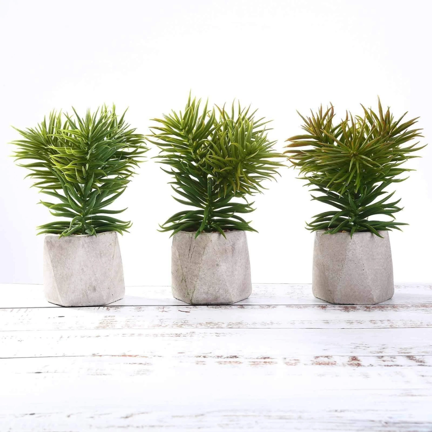 Set Of 3 8" Tall Faux Crassula Succulent Plants With Ceramic Pots - Assorted Colors 3 Set Of 3 8" Tall Faux Crassula Succulent Plants With Ceramic Pots - Assorted Colors